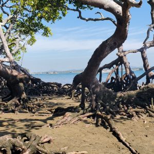 Seventeen Seventy summer 2023