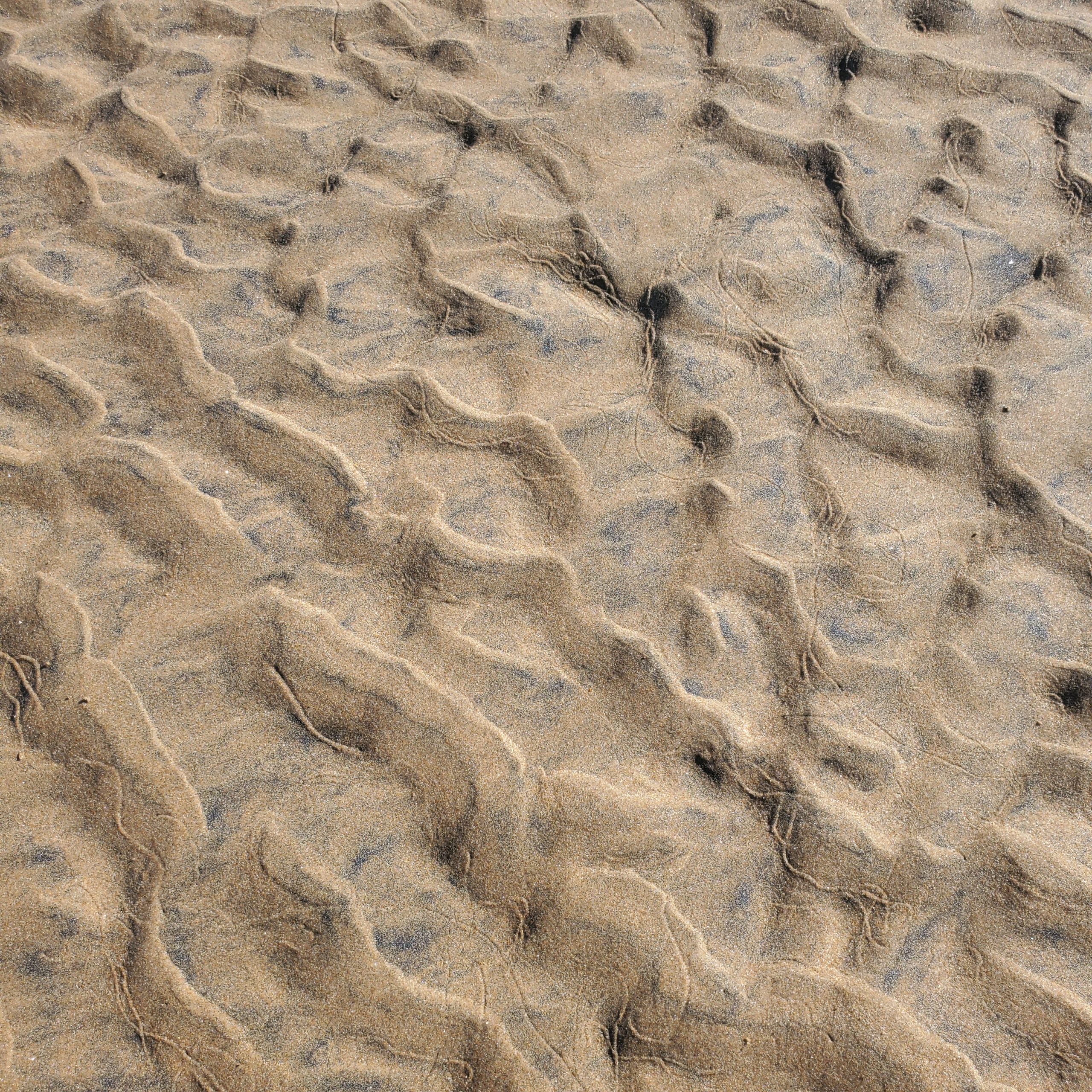 Wave imprints in the sand