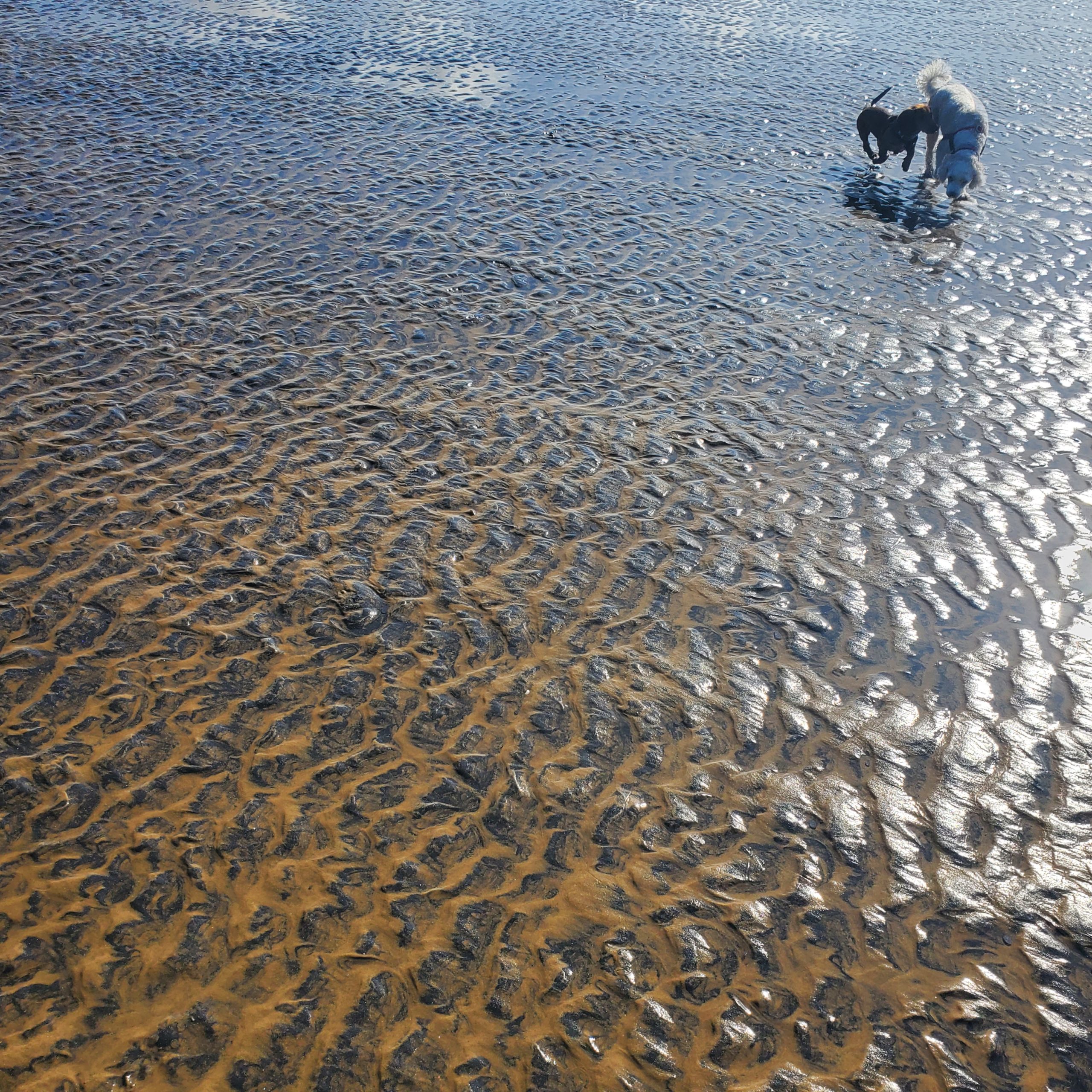 Wave patterns in the sand