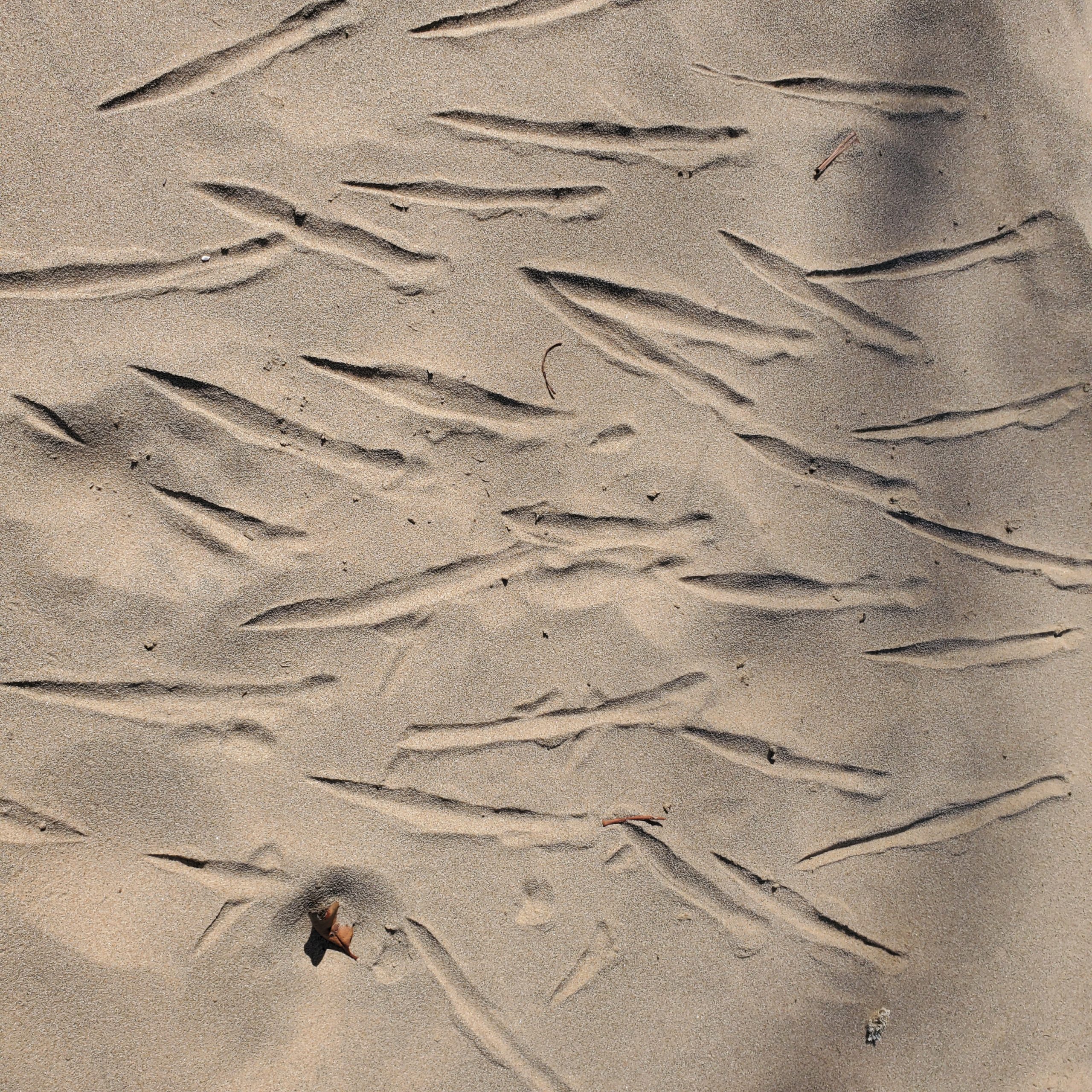 Sand drawing – tap lines