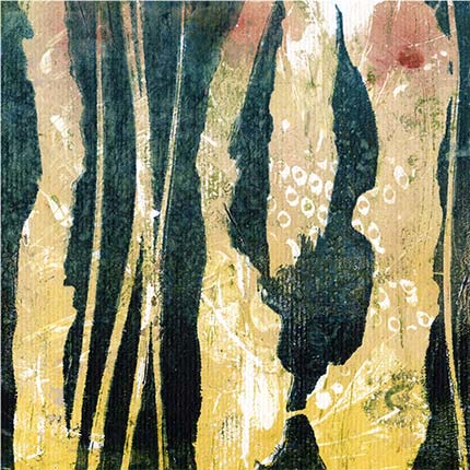 Shadows in the paperbarks