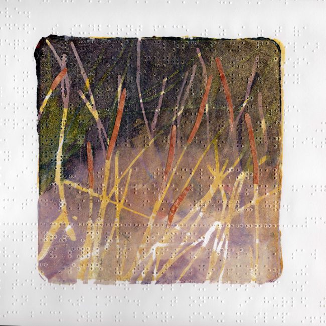 Boonah grass heads on dusk