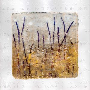 Boonah grass heads at dawn