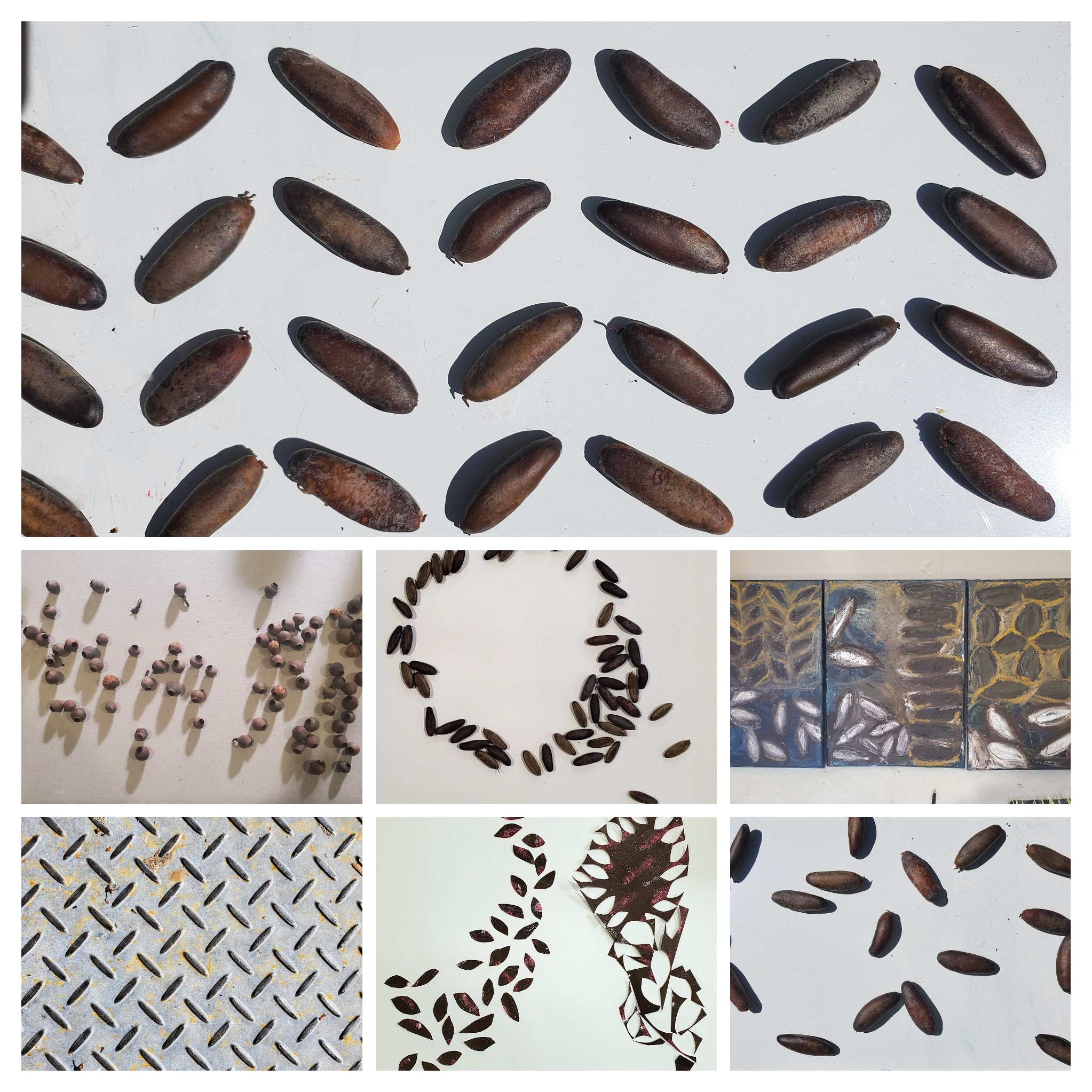 Seeds and metal work