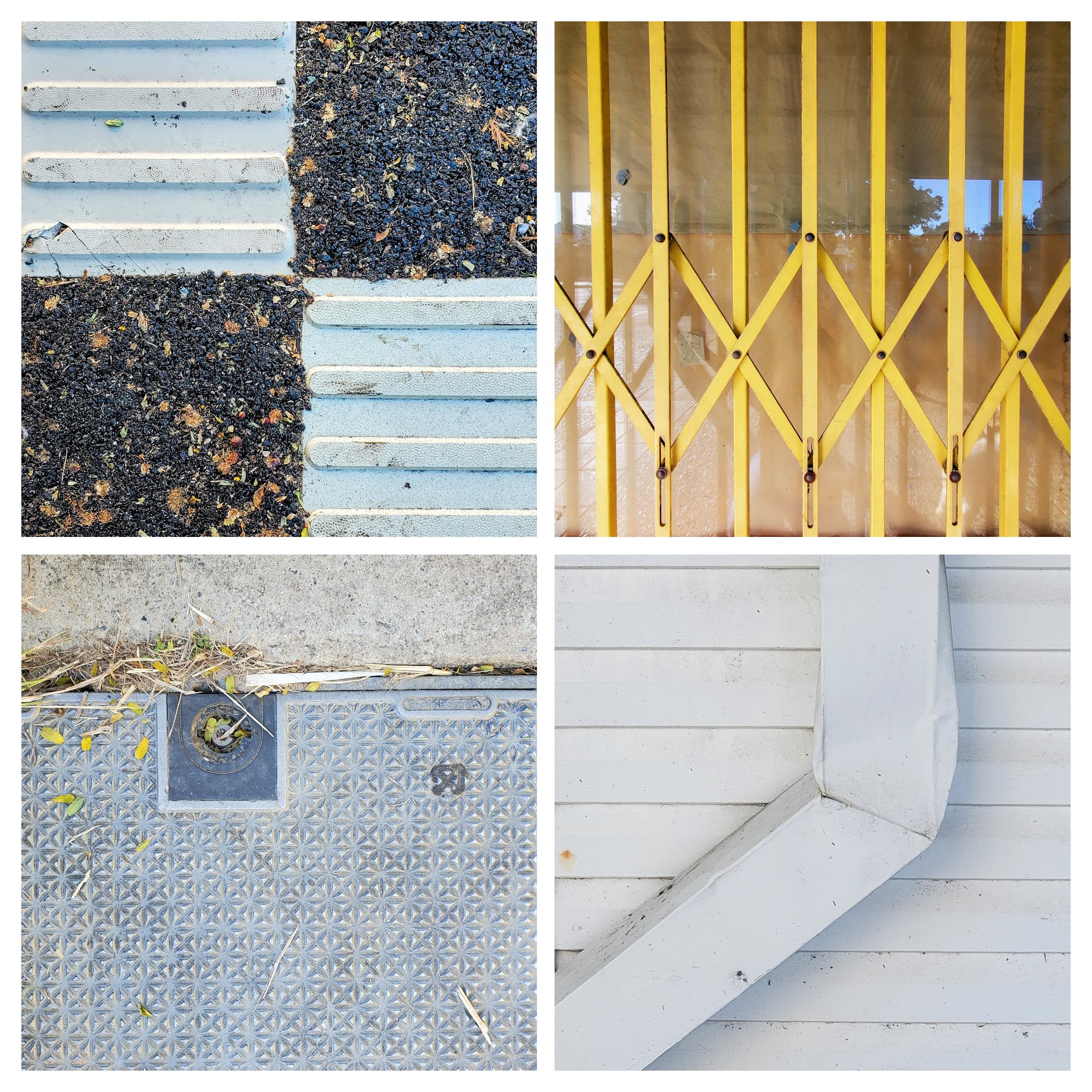 Collage of photos from hte neighbourhood